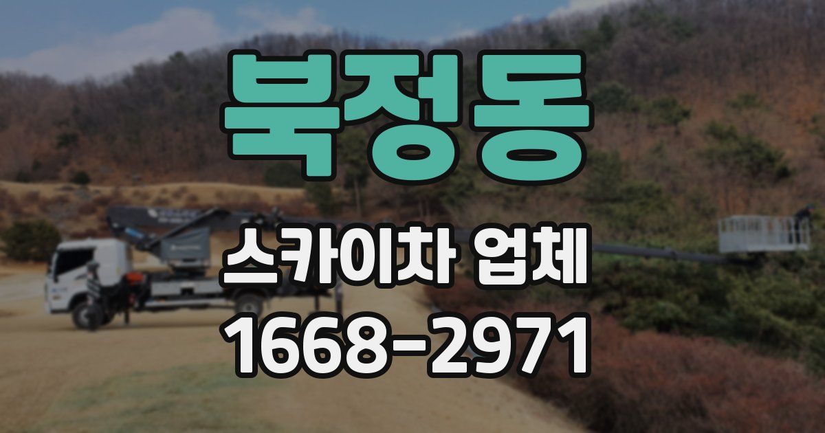 북정동 스카이차 업체