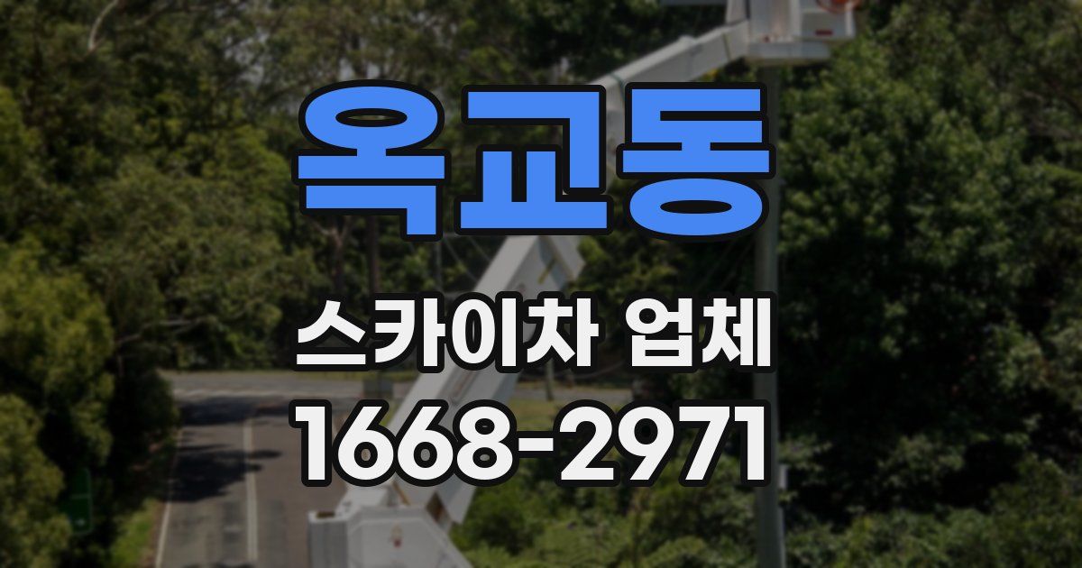 옥교동 스카이차 업체
