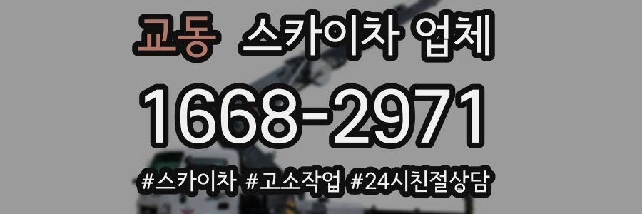 교동 스카이차 업체