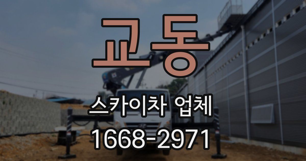 교동 스카이차 업체