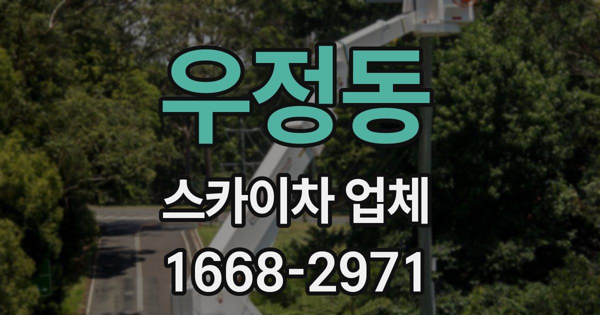 우정동 스카이차 업체