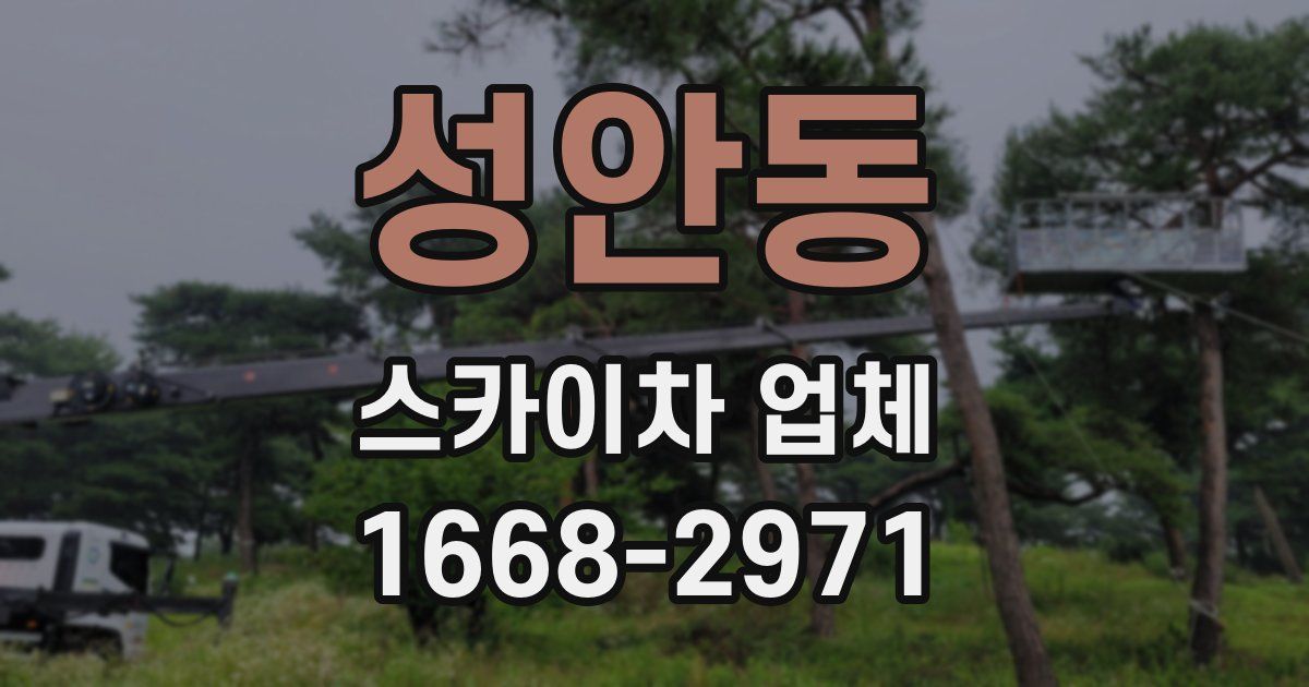 성안동 스카이차 업체