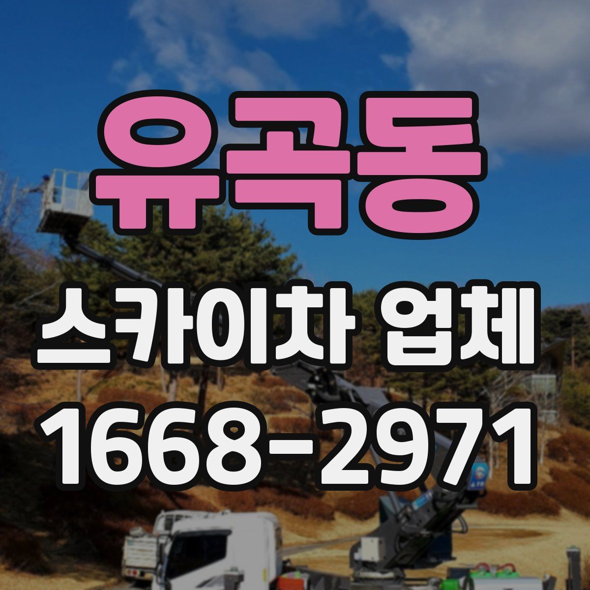유곡동 스카이차 업체