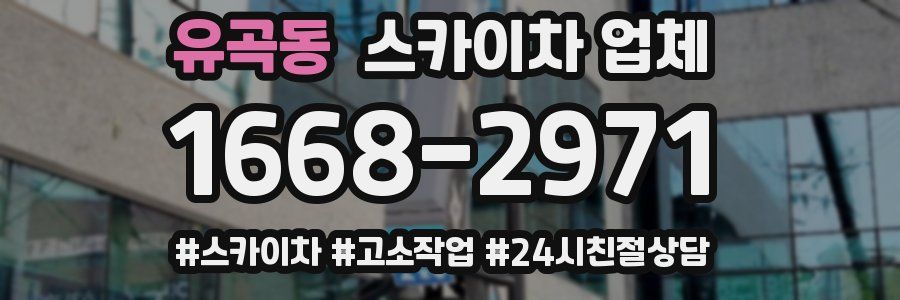 유곡동 스카이차 업체