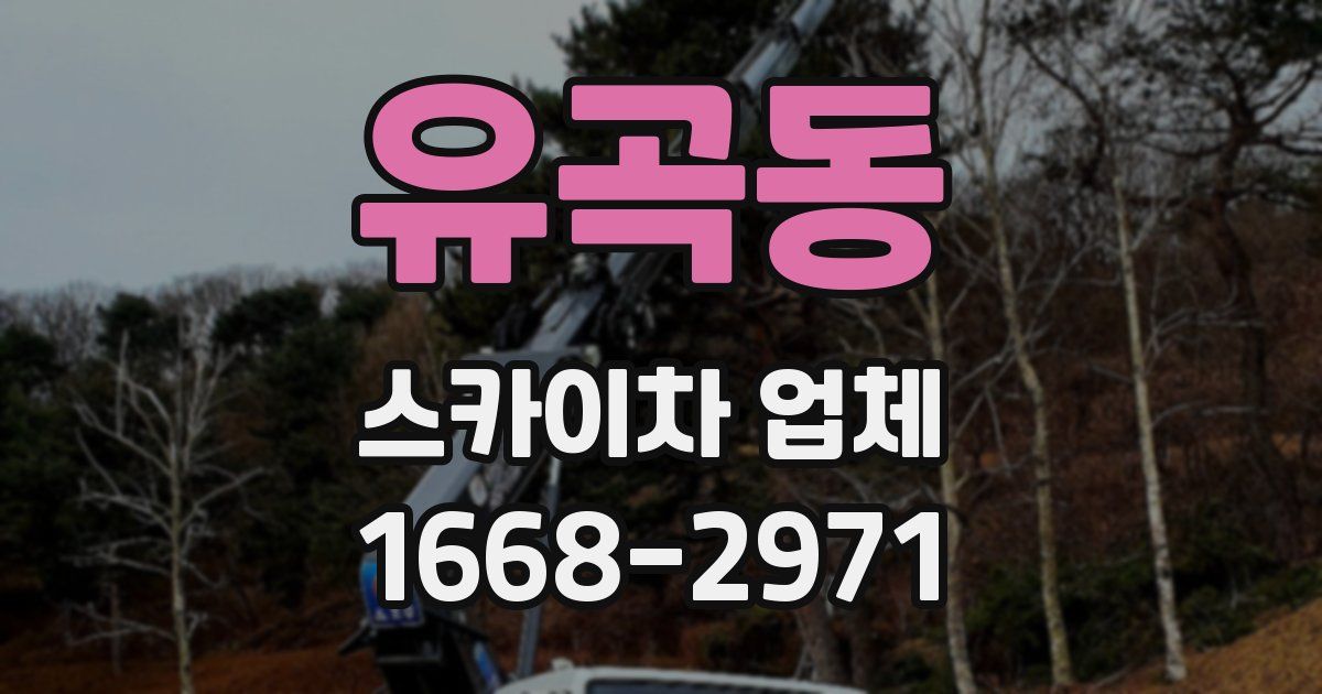 유곡동 스카이차 업체