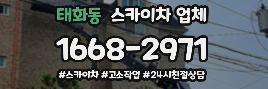 태화동 스카이차 업체