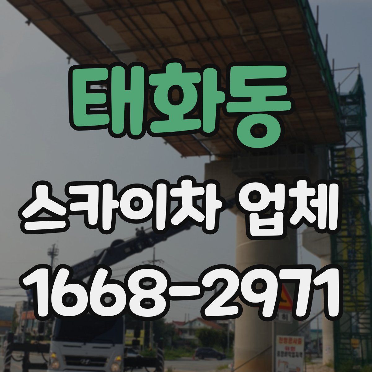 태화동 스카이차 업체