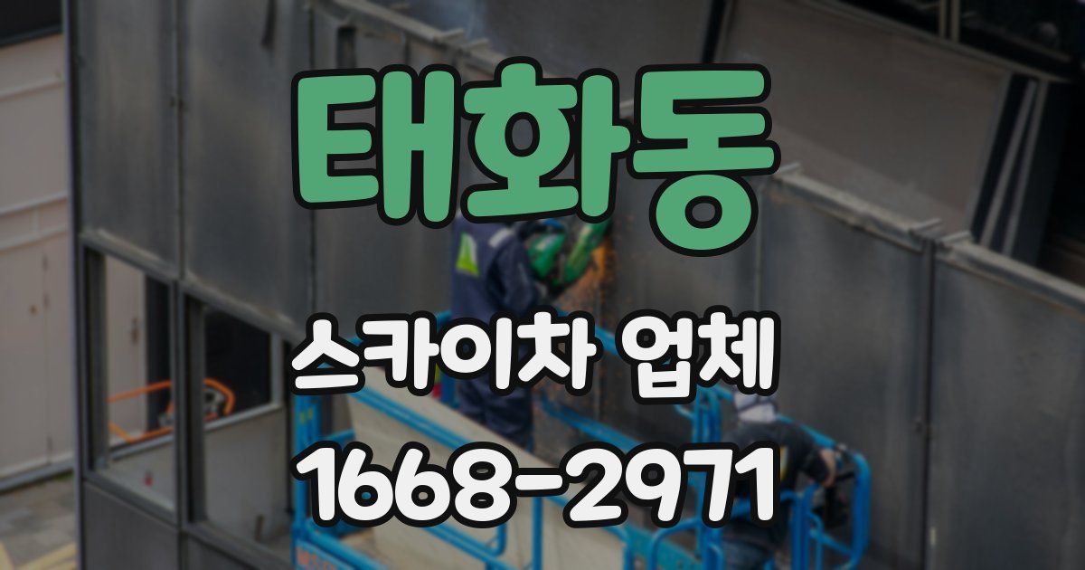 태화동 스카이차 업체