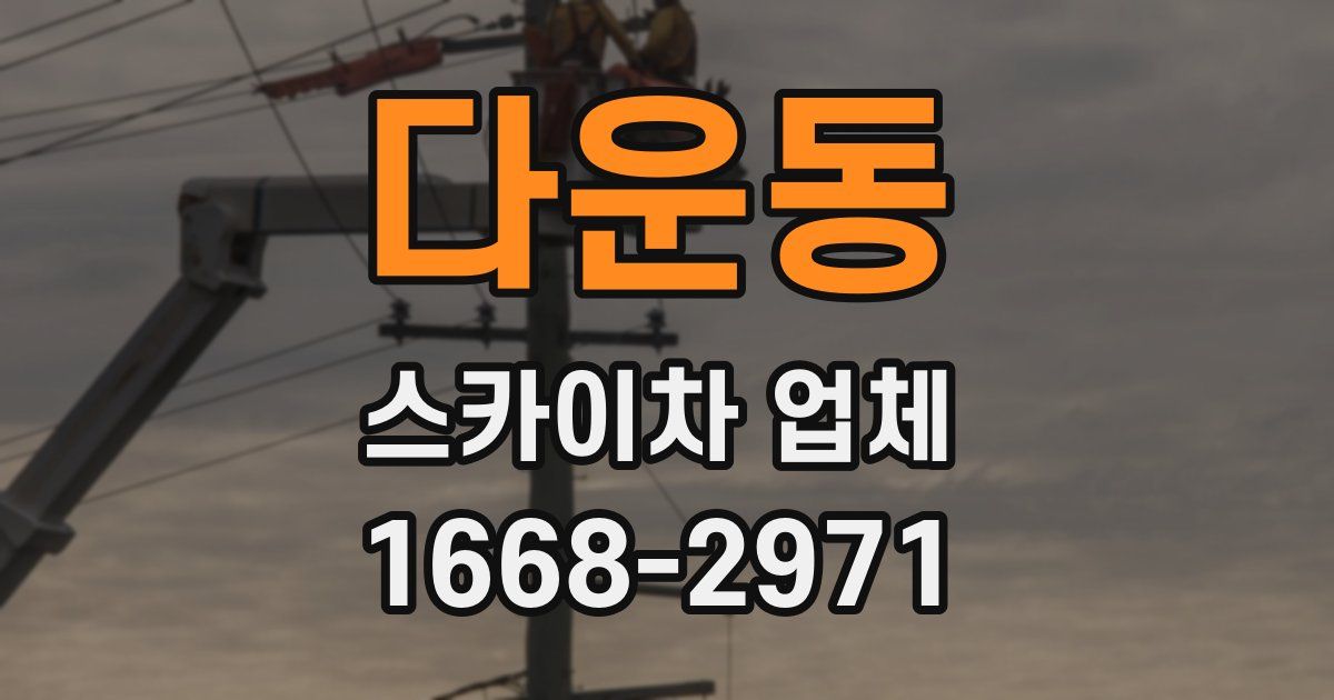 다운동 스카이차 업체