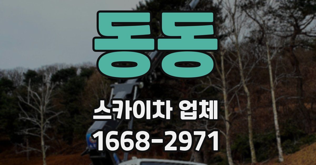 동동 스카이차 업체