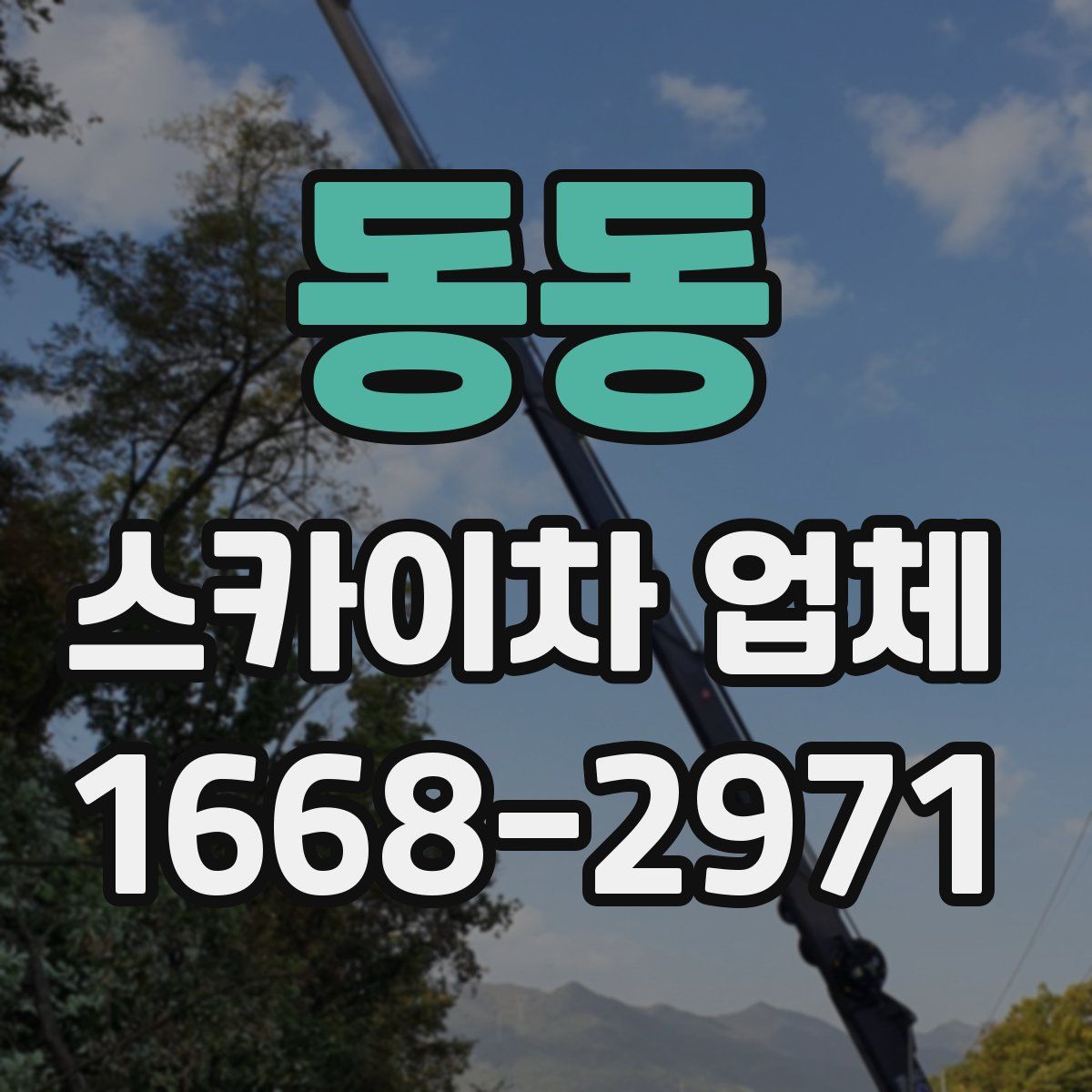 동동 스카이차 업체