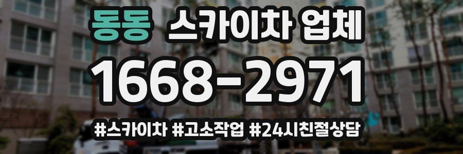 동동 스카이차 업체