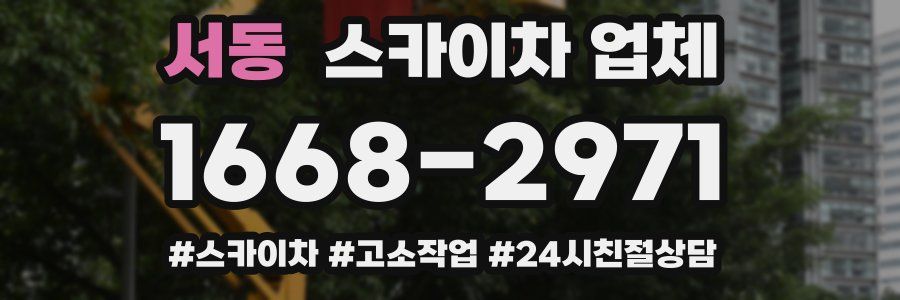 서동 스카이차 업체