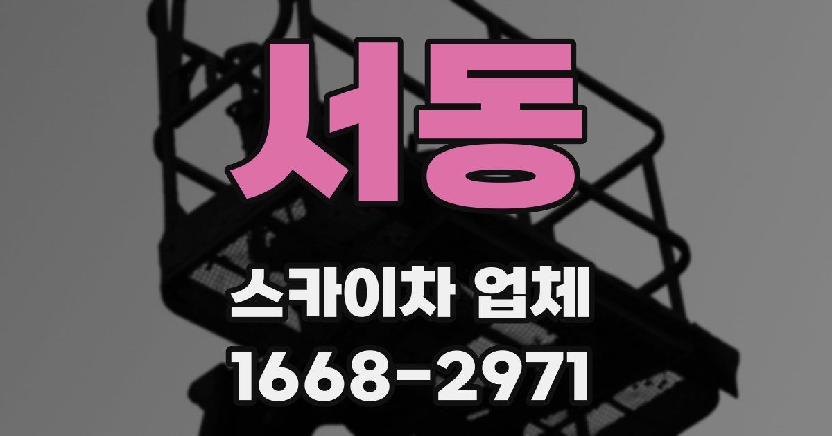 서동 스카이차 업체