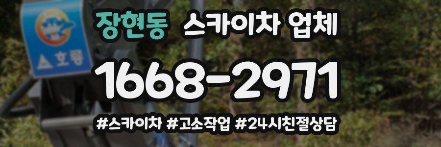 장현동 스카이차 업체