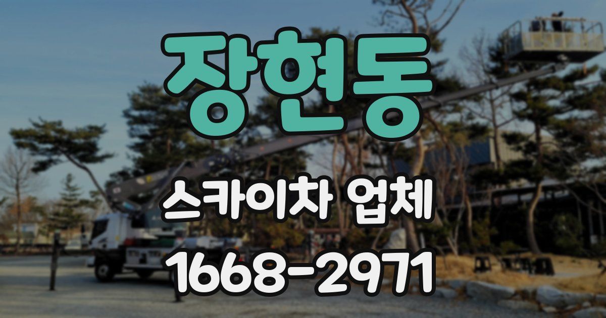 장현동 스카이차 업체