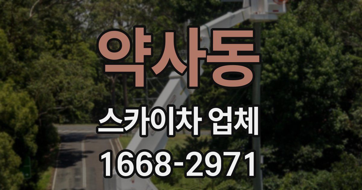 약사동 스카이차 업체