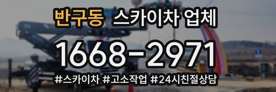 반구동 스카이차 업체
