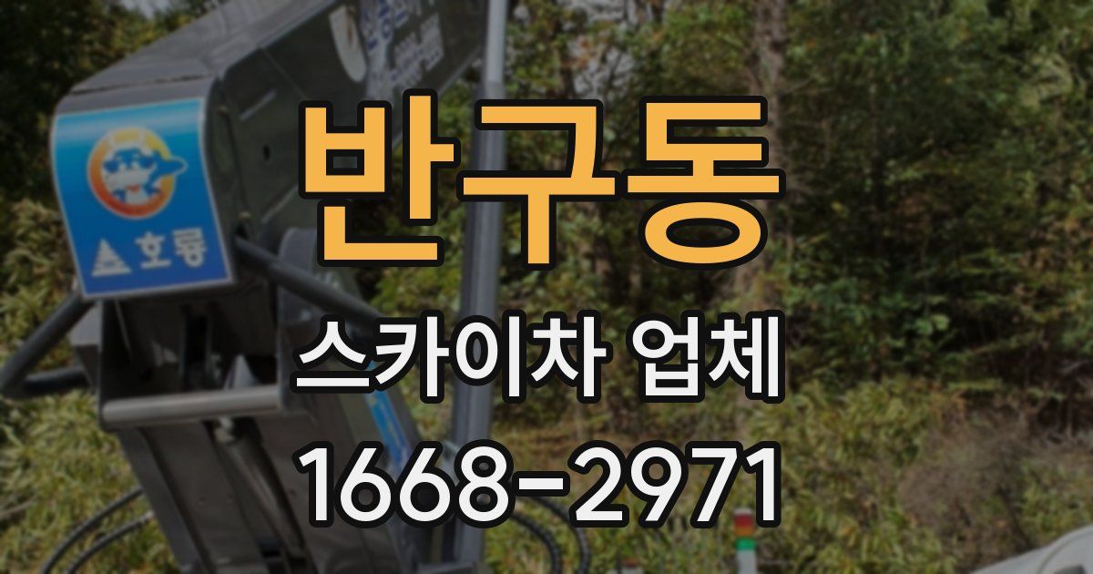 반구동 스카이차 업체