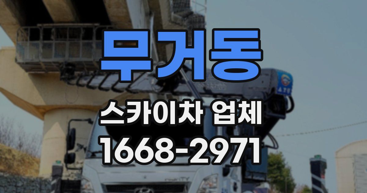 무거동 스카이차 업체