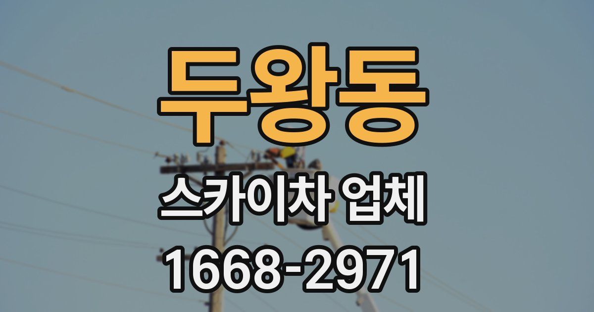 두왕동 스카이차 업체