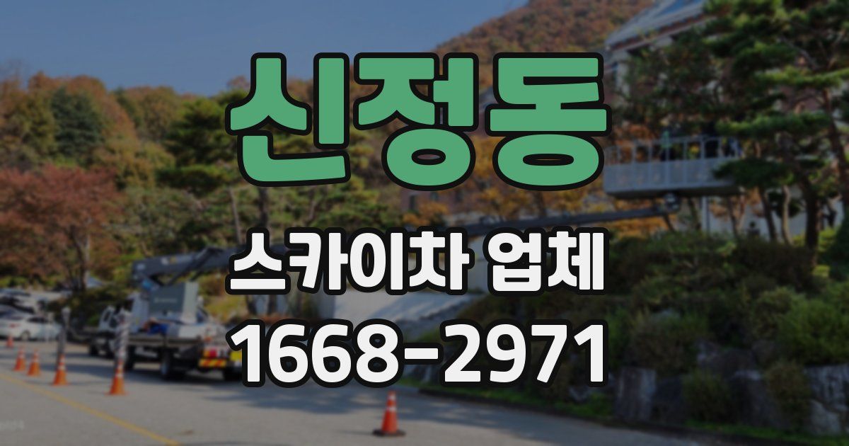 신정동 스카이차 업체