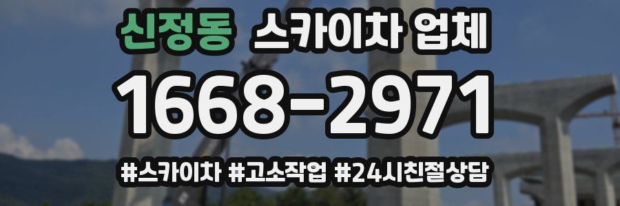 신정동 스카이차 업체