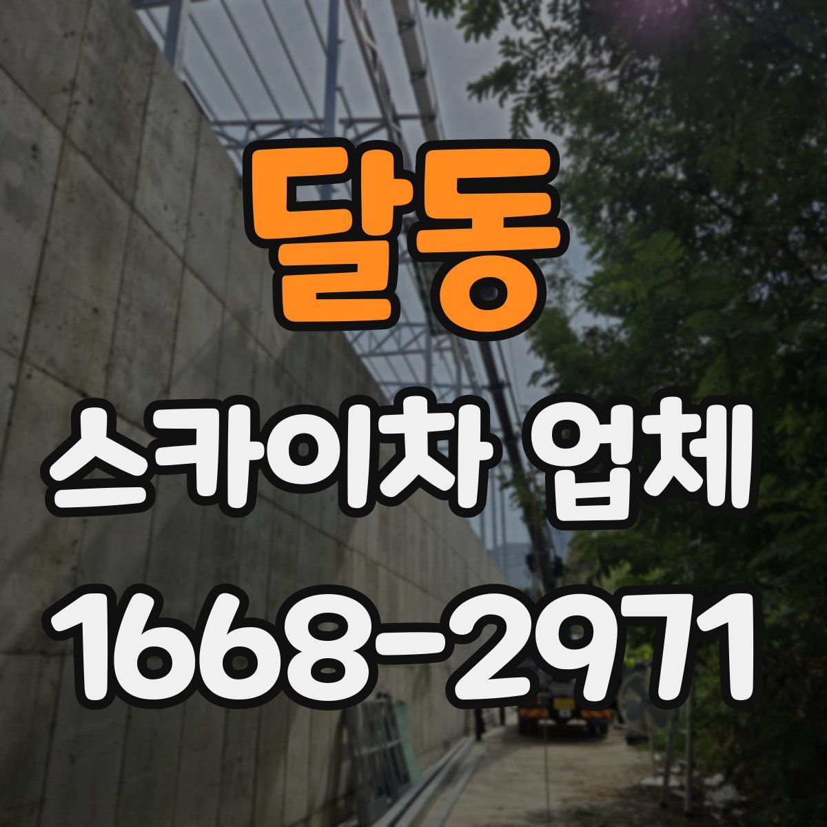 달동 스카이차 업체