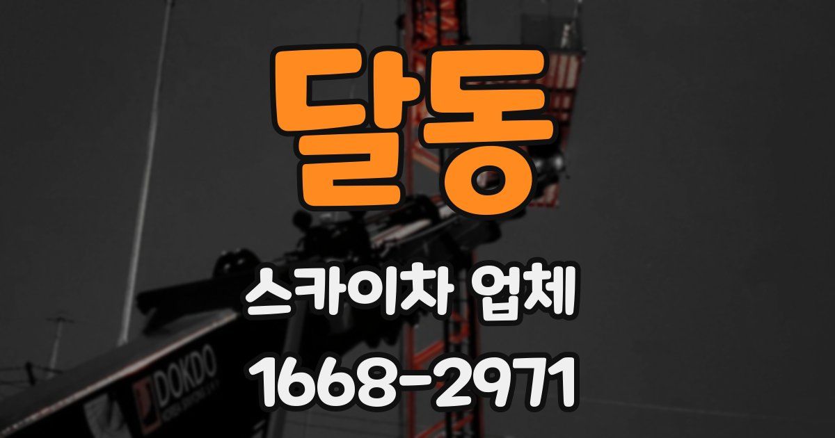 달동 스카이차 업체