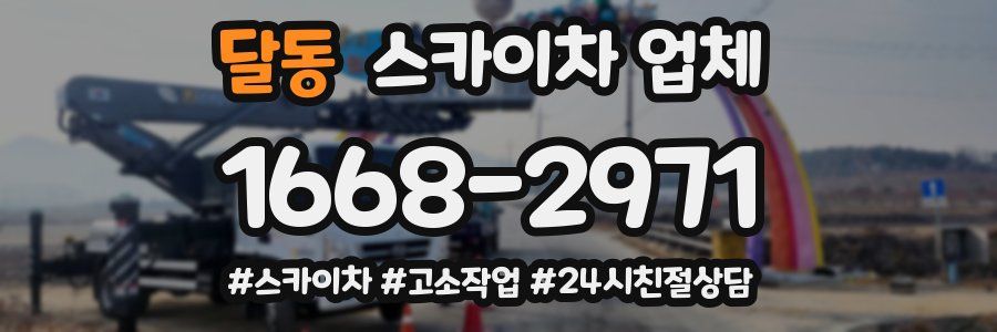 달동 스카이차 업체