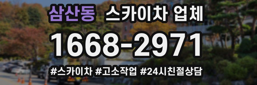 삼산동 스카이차 업체