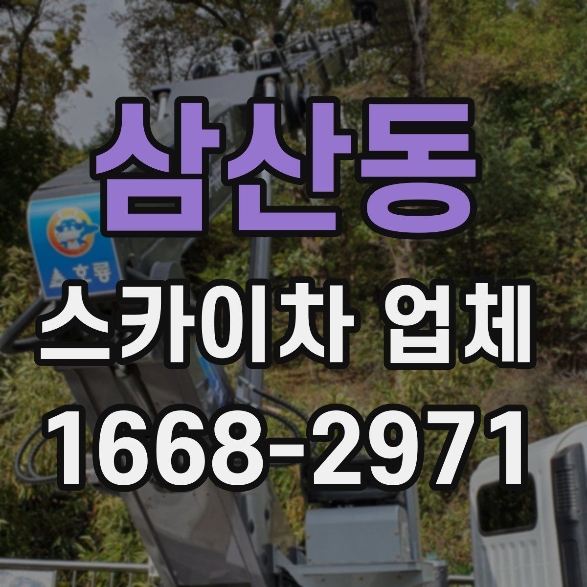 삼산동 스카이차 업체