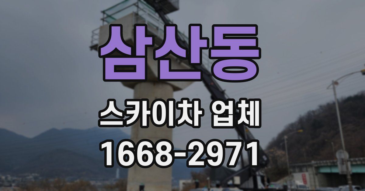 삼산동 스카이차 업체