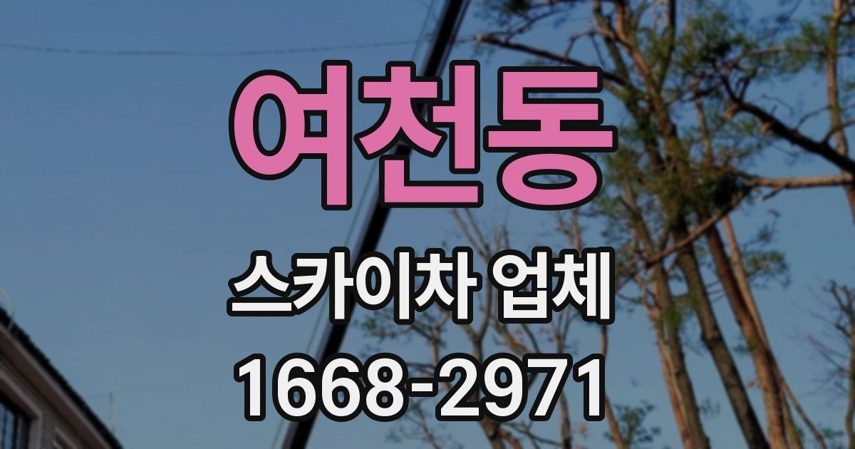 여천동 스카이차 업체