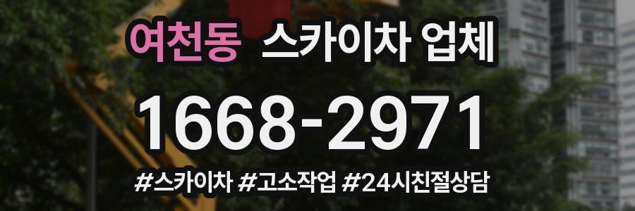 여천동 스카이차 업체