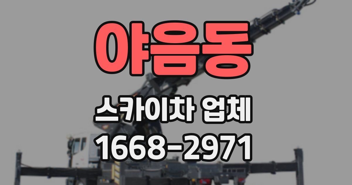 야음동 스카이차 업체