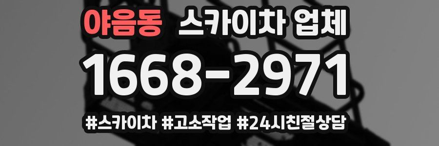 야음동 스카이차 업체