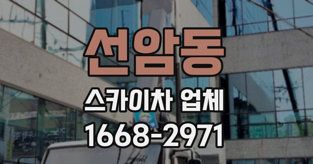선암동 스카이차 업체