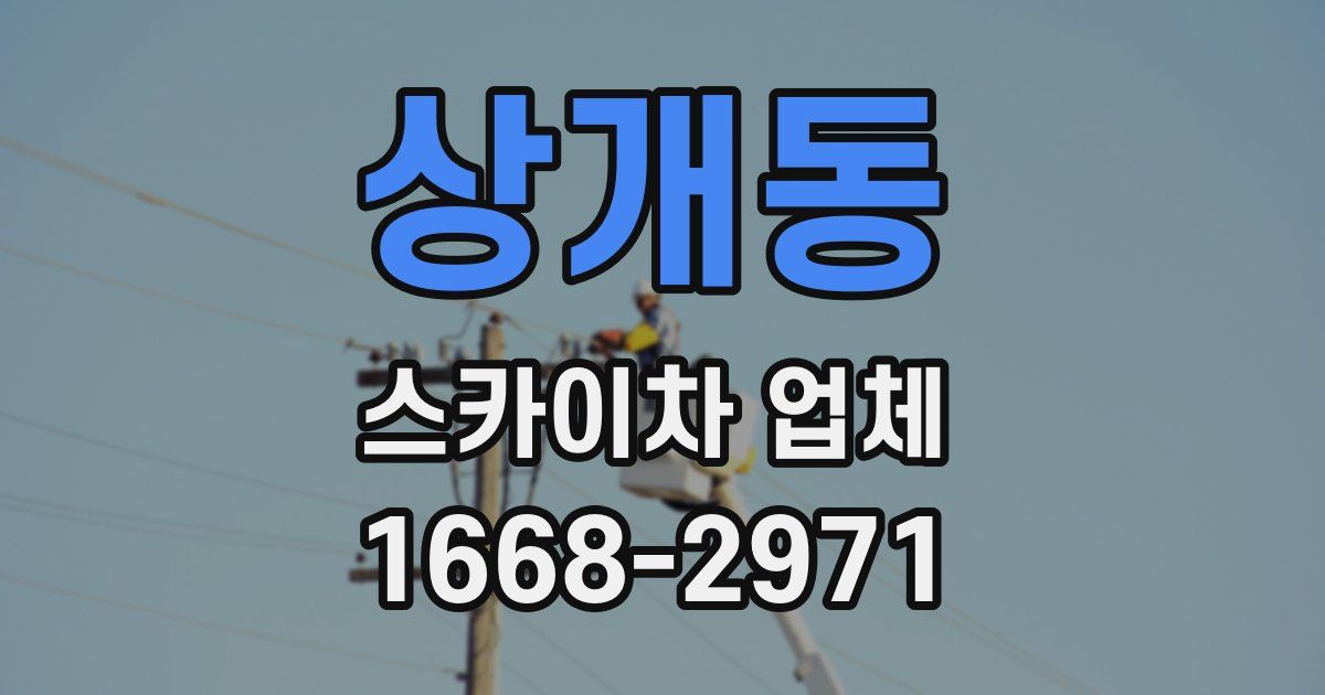 상개동 스카이차 업체