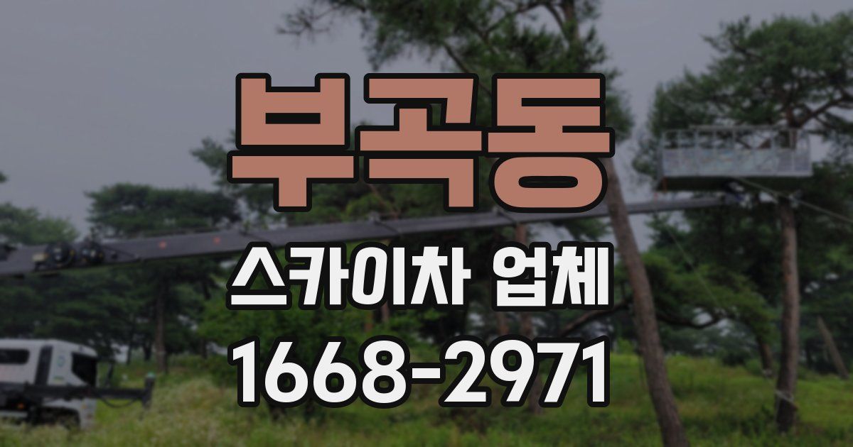 부곡동 스카이차 업체