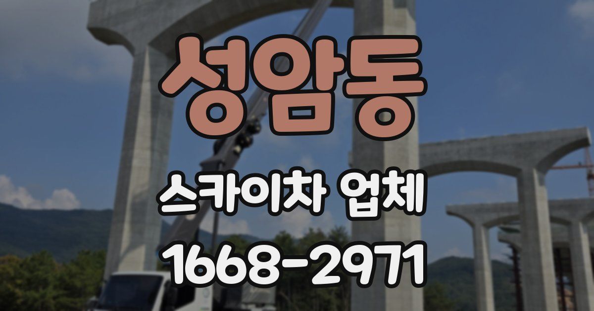 성암동 스카이차 업체