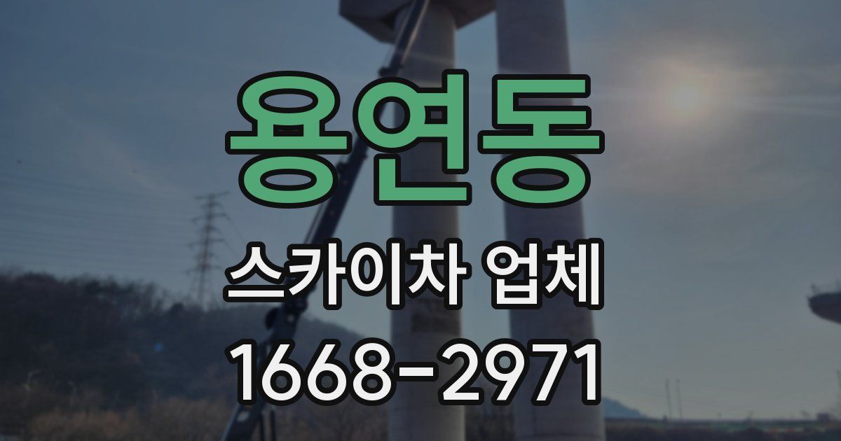 용연동 스카이차 업체