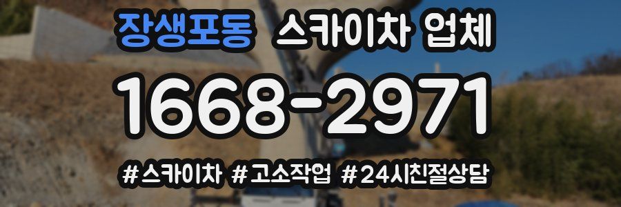 장생포동 스카이차 업체