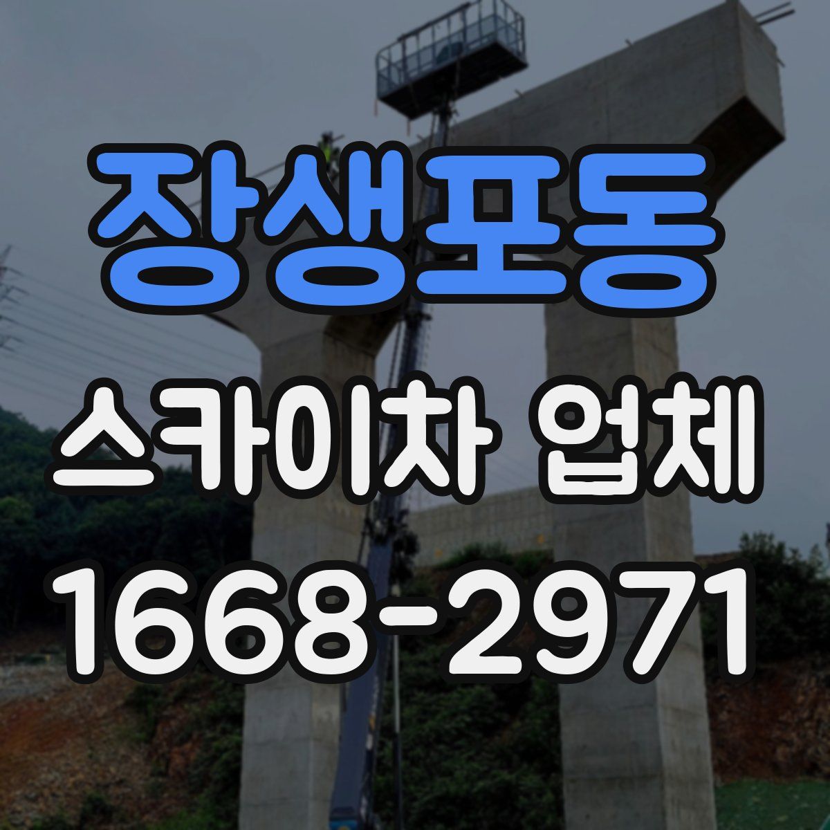 장생포동 스카이차 업체
