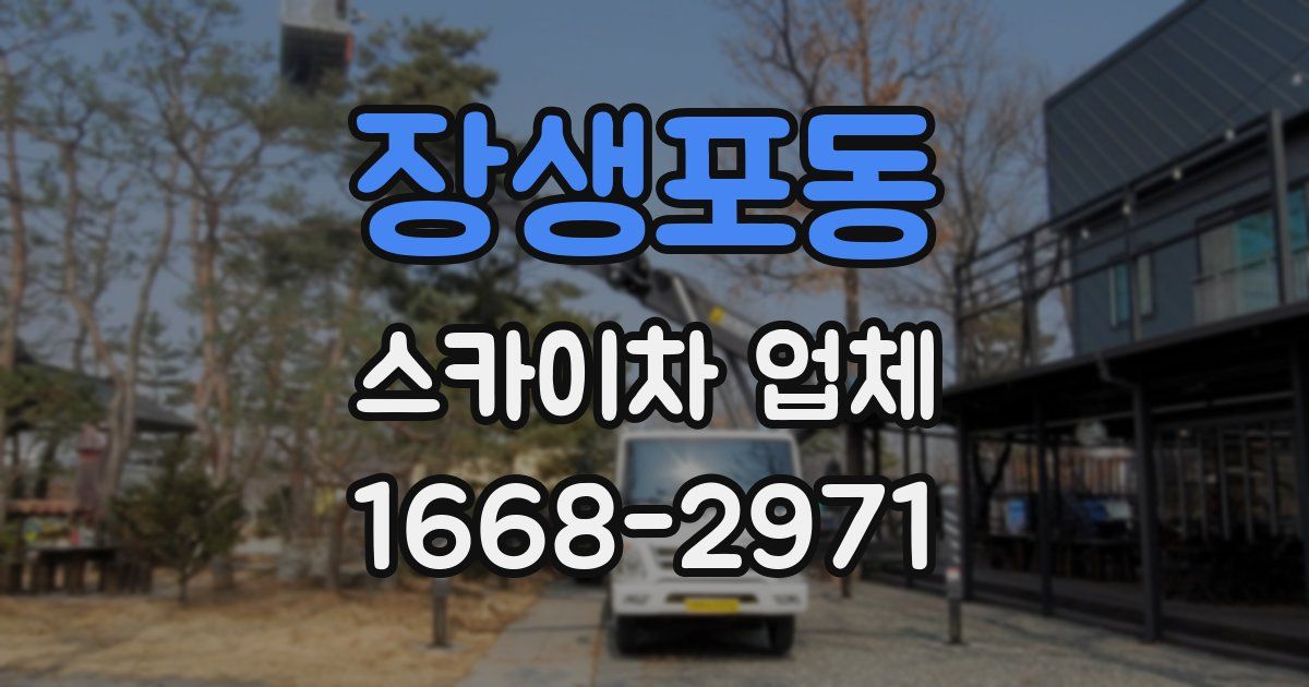 장생포동 스카이차 업체