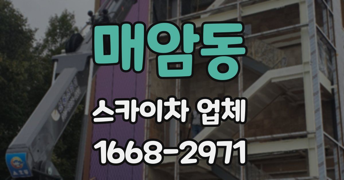 매암동 스카이차 업체