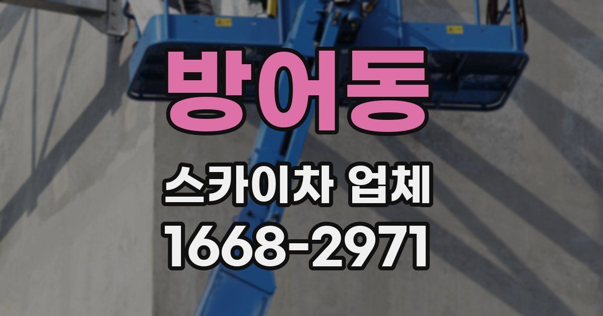 방어동 스카이차 업체