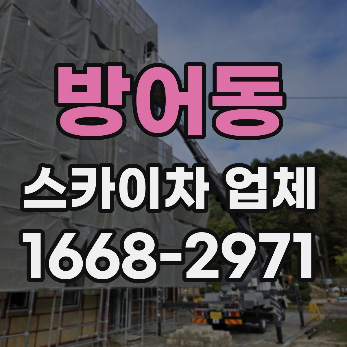 방어동 스카이차 업체