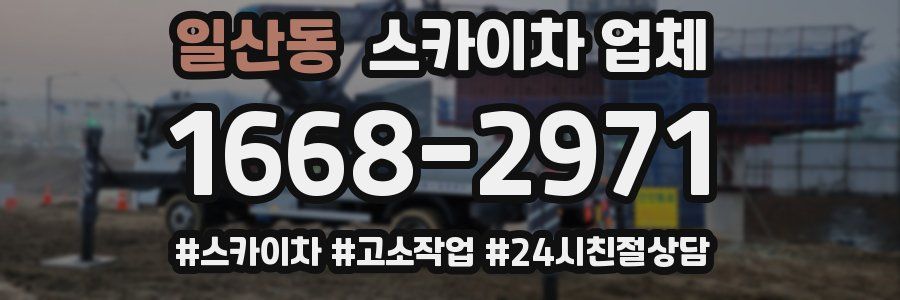 일산동 스카이차 업체