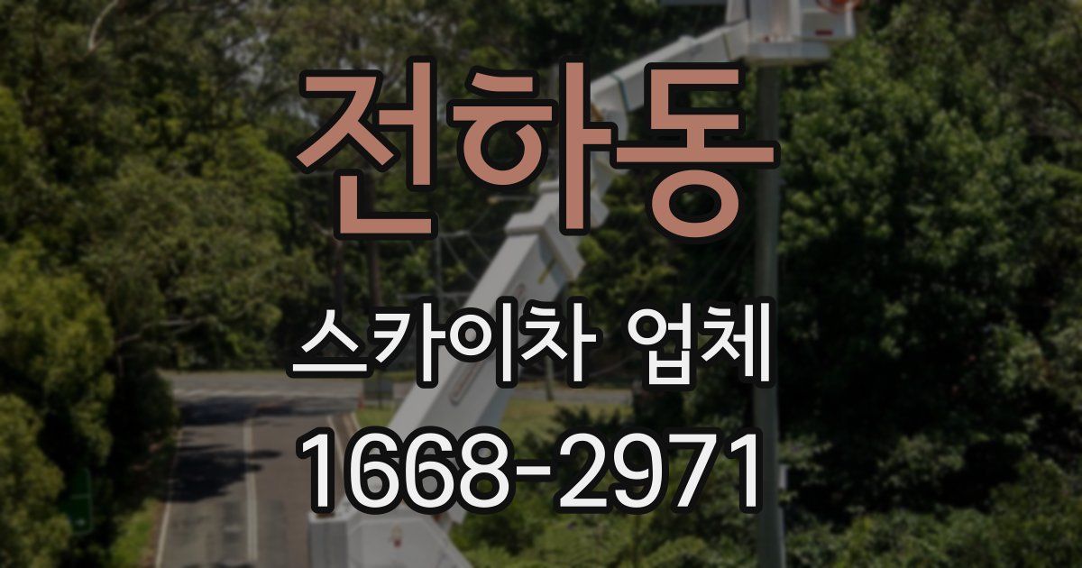전하동 스카이차 업체